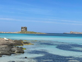 I Pescatori di Stelle-L14 ARTURO
